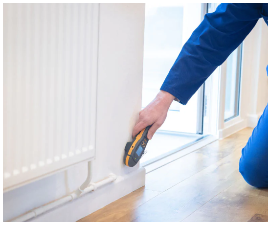 Damp survey